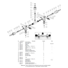 Load image into Gallery viewer, Schematic 200 manifold  IST Proline