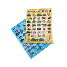 Load image into Gallery viewer, Fish ID Slates