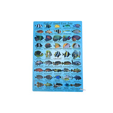Load image into Gallery viewer, Fish ID Slates