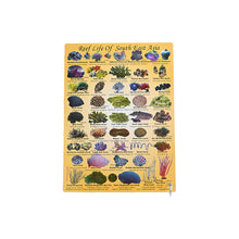 Load image into Gallery viewer, Fish ID Slates