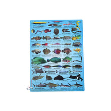 Load image into Gallery viewer, Fish ID Slates