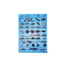 Load image into Gallery viewer, Fish ID Slates