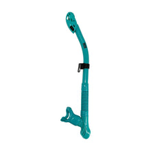 Load image into Gallery viewer, Tiga Dry Snorkel