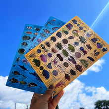 Load image into Gallery viewer, Fish ID Slates | Underwater Identification Cards