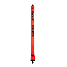Load image into Gallery viewer, Diver Below Buoy