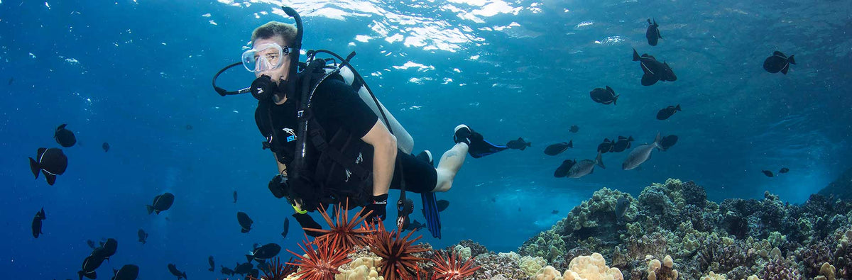 IST Proline Scuba Diving & Watersport Affordable Equipment – One Stop ...